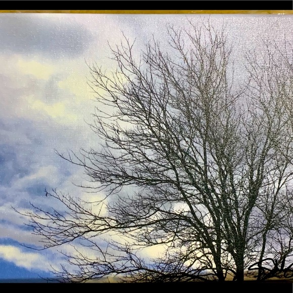 8x10 original print on thick canvas frame/ signed - Picture 1 of 1